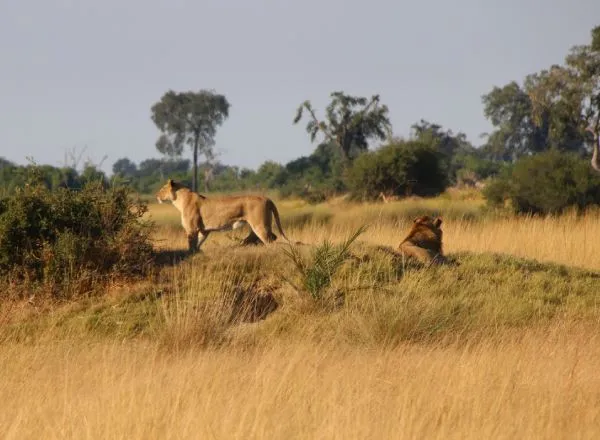 Viajes de lujo África